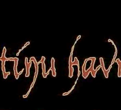 Ve stínu havrana Visiongame