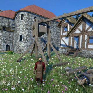 Medieval Engineers