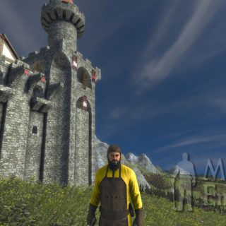 Medieval Engineers