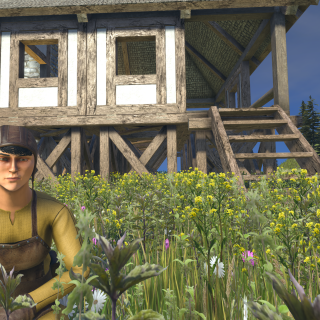 Medieval Engineers