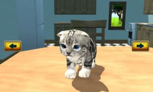 kitten cat simulator 3d craft online