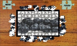 Jigsaw Puzzles Fruits World | Visiongame