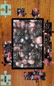 Jigsaw Puzzles Fruits World | Visiongame