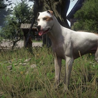 Kingdom Come: Deliverance - A Woman's Lot