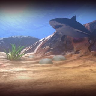 Feed and Grow: Fish