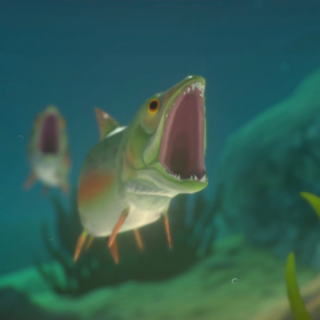 Feed and Grow: Fish