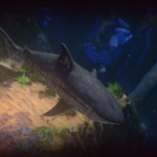 Feed and Grow: Fish