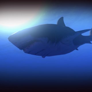 Feed and Grow: Fish
