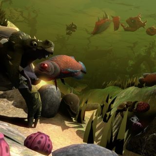 Feed and Grow: Fish