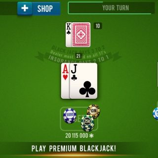 BLACKJACK 21 - Casino Vegas