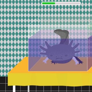 Zvěřinec - Pet Doctor