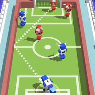 Flip Goal
