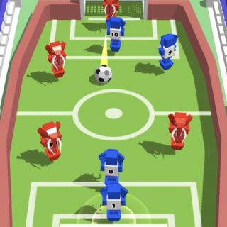 Flip Goal