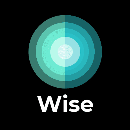 Wise Games Interactive Visiongame