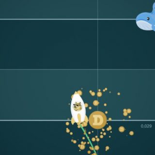 Doge Moon Launch