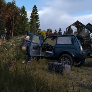 dayz