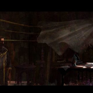 Where Birds Go to Sleep