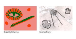 Nabídka kurzů Kinoškoly, podzim 2022 je tu!