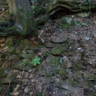 Ramonovo Kouzlo po 27 letech