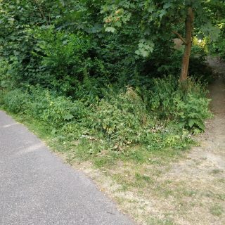 Ramonovo Kouzlo po 27 letech