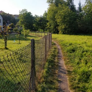 Ramonovo Kouzlo po 27 letech