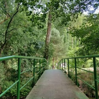 Ramonovo Kouzlo po 27 letech