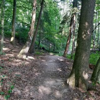 Ramonovo Kouzlo po 27 letech