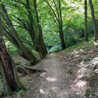 Ramonovo Kouzlo po 27 letech