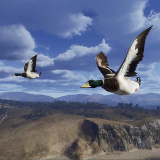 Way of the Hunter - Map Pack 2