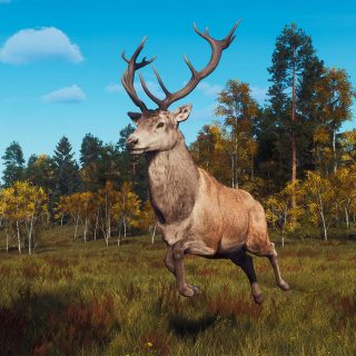 Way of the Hunter - Lintukoto Reserve