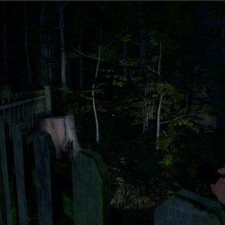 The Greys: Human Abductions