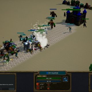 Fortress Frenzy