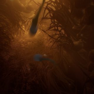 BeCum: A Sperm's Journey