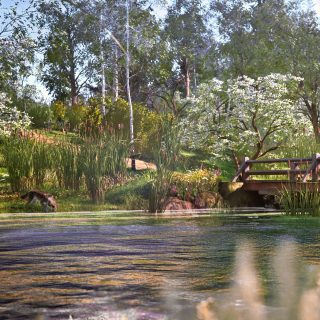 Ranger’s Path: National Park Simulator