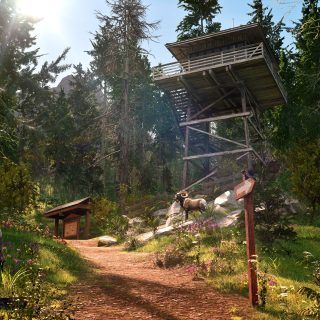 Ranger’s Path: National Park Simulator
