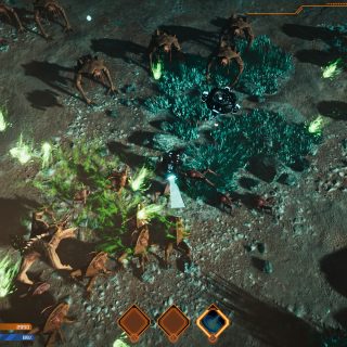 Stellar Destiny: The Last Survivor