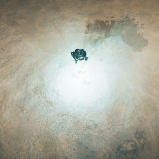 Stellar Destiny: The Last Survivor