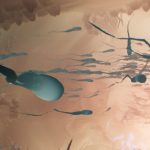 BECOME: A Sperm’s Journey – česká hra o mikroskopické cestě za vznikem života